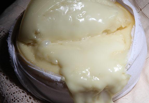 Buttery ripened sheep´s cheese
