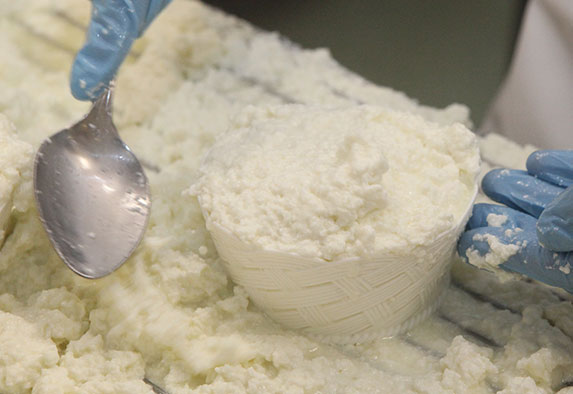 Pasteurized Sheep´s Cottage Cheese